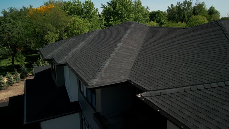 Best Gutter Replacement  in Lineville, AL