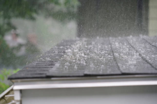 Best Storm Damage Roof Repair  in Lineville, AL