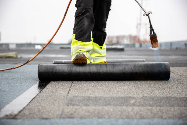 Best Solar Panel Roofing Installation  in Lineville, AL